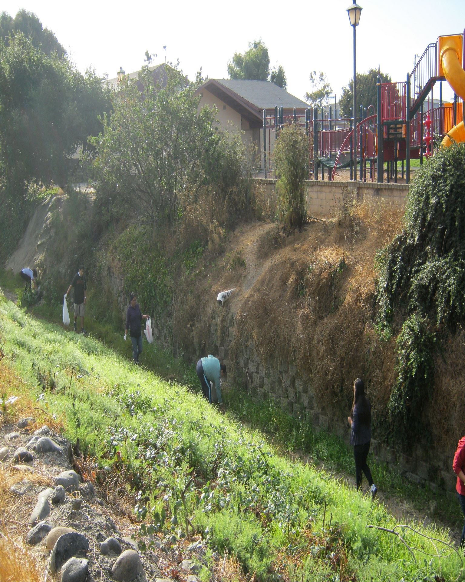 Wildcat Creek Cleanup