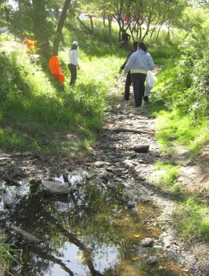 Creek Volunteers.jpg